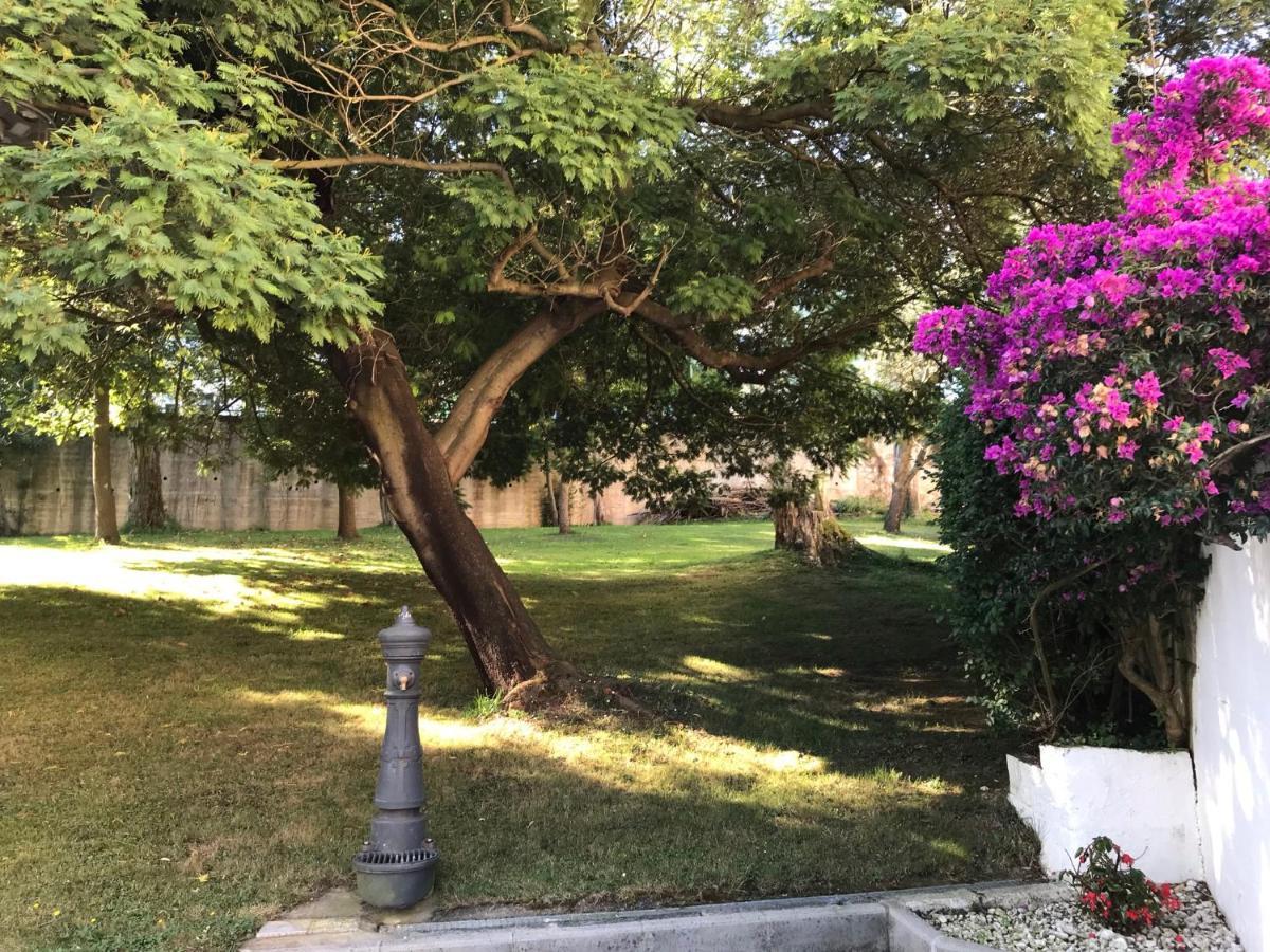 Apartamento Luminoso Cerca Playa Sardinero Con Parking Privado Santander Eksteriør billede